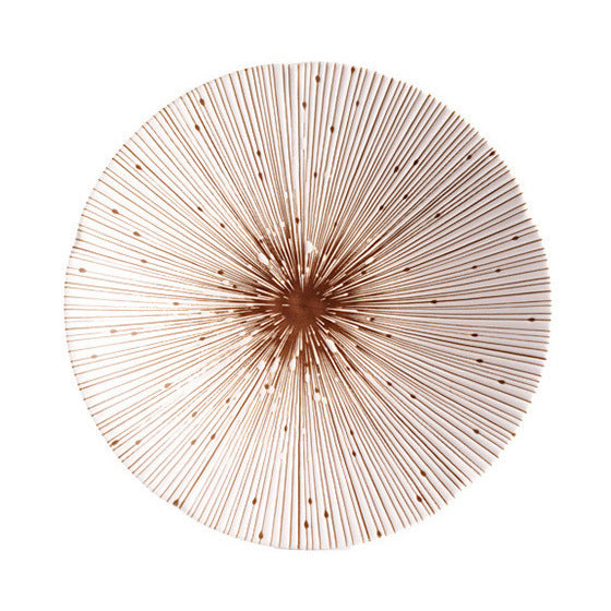 A top-down perspective of the white plate, emphasizing its beautiful radial design.